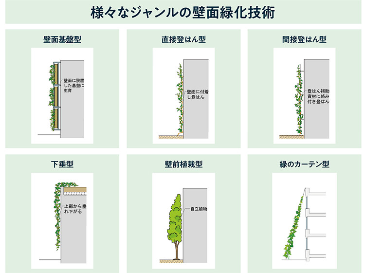 垂直花壇 Vertical GARDENs