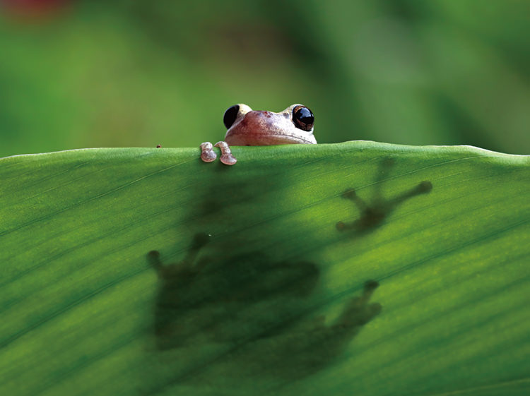 農と生物の繋がりゾーン