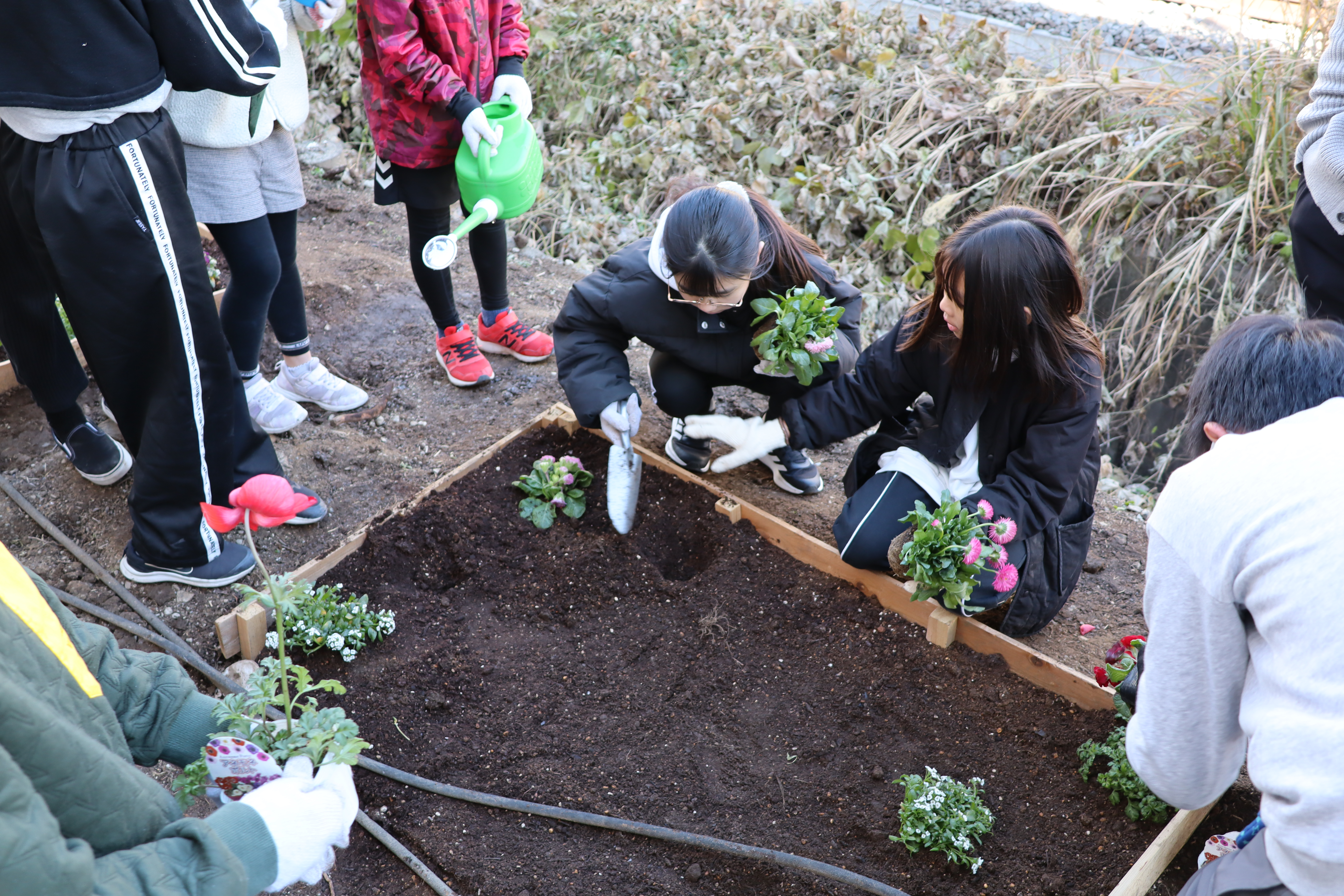川崎市立下作延小学校にて花壇づくりを行いました！