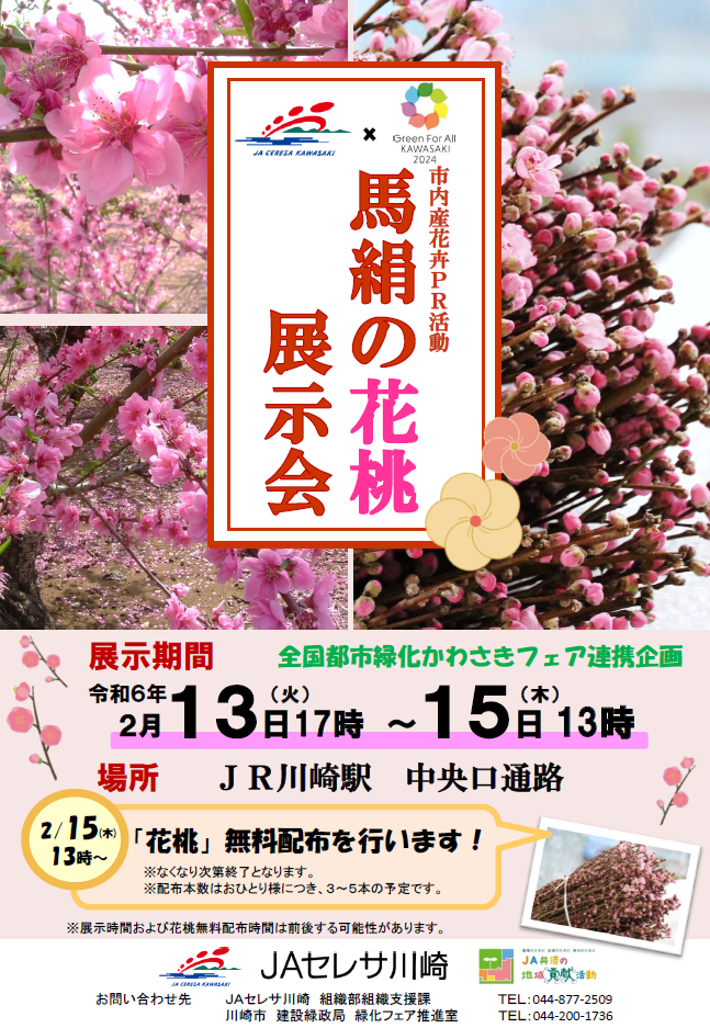 【2月13日～15日】馬絹の花桃展示会が開催されます！