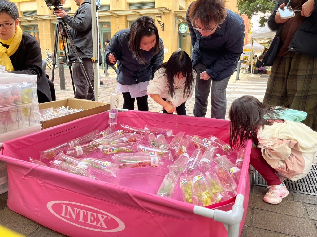 【3月2日～3日】ミモザフェスタ２０２４にてブース出展しました！