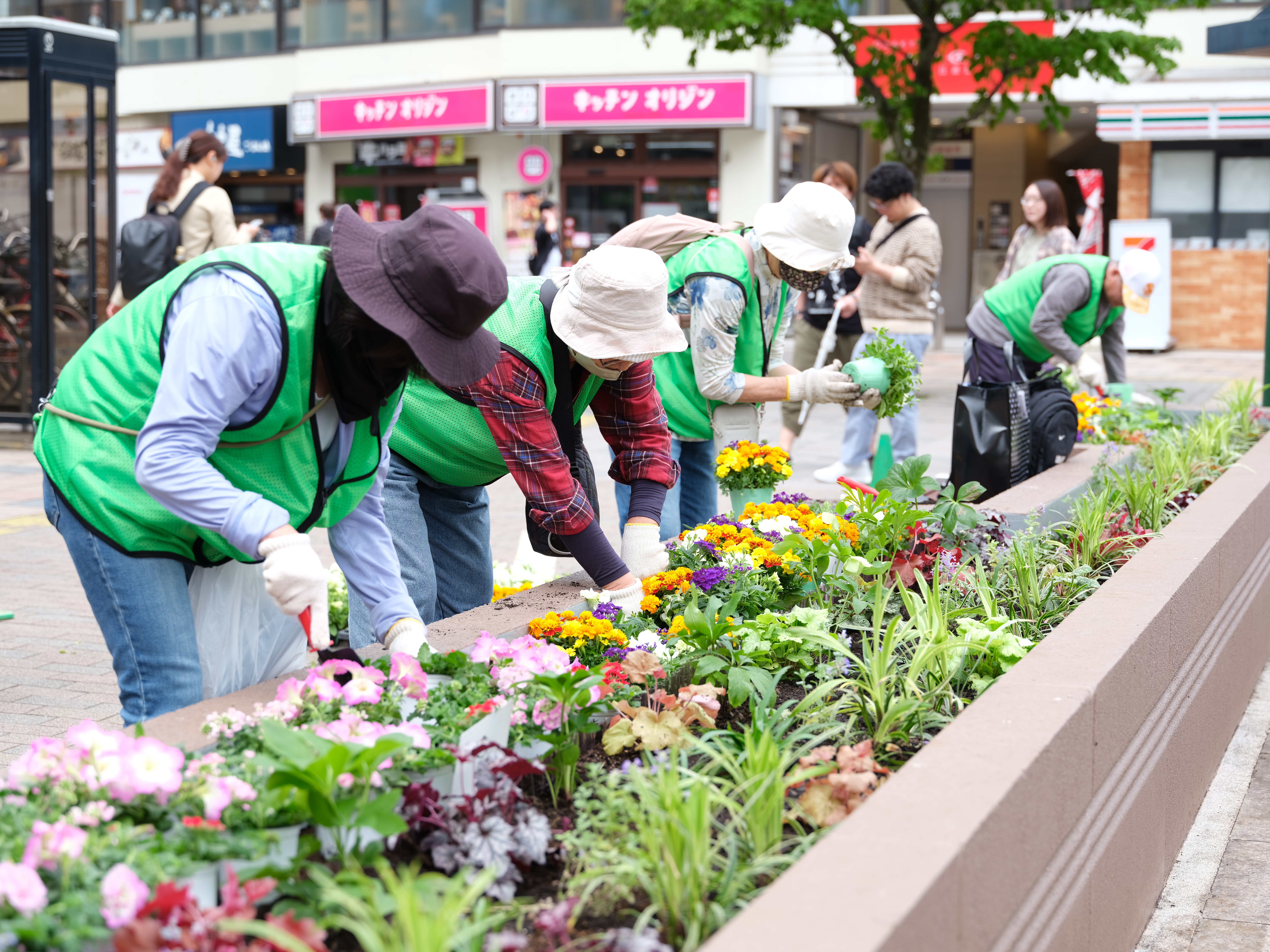 会場運営＆植物育成・管理ボランティアを募集します。【募集は終了いたしました】