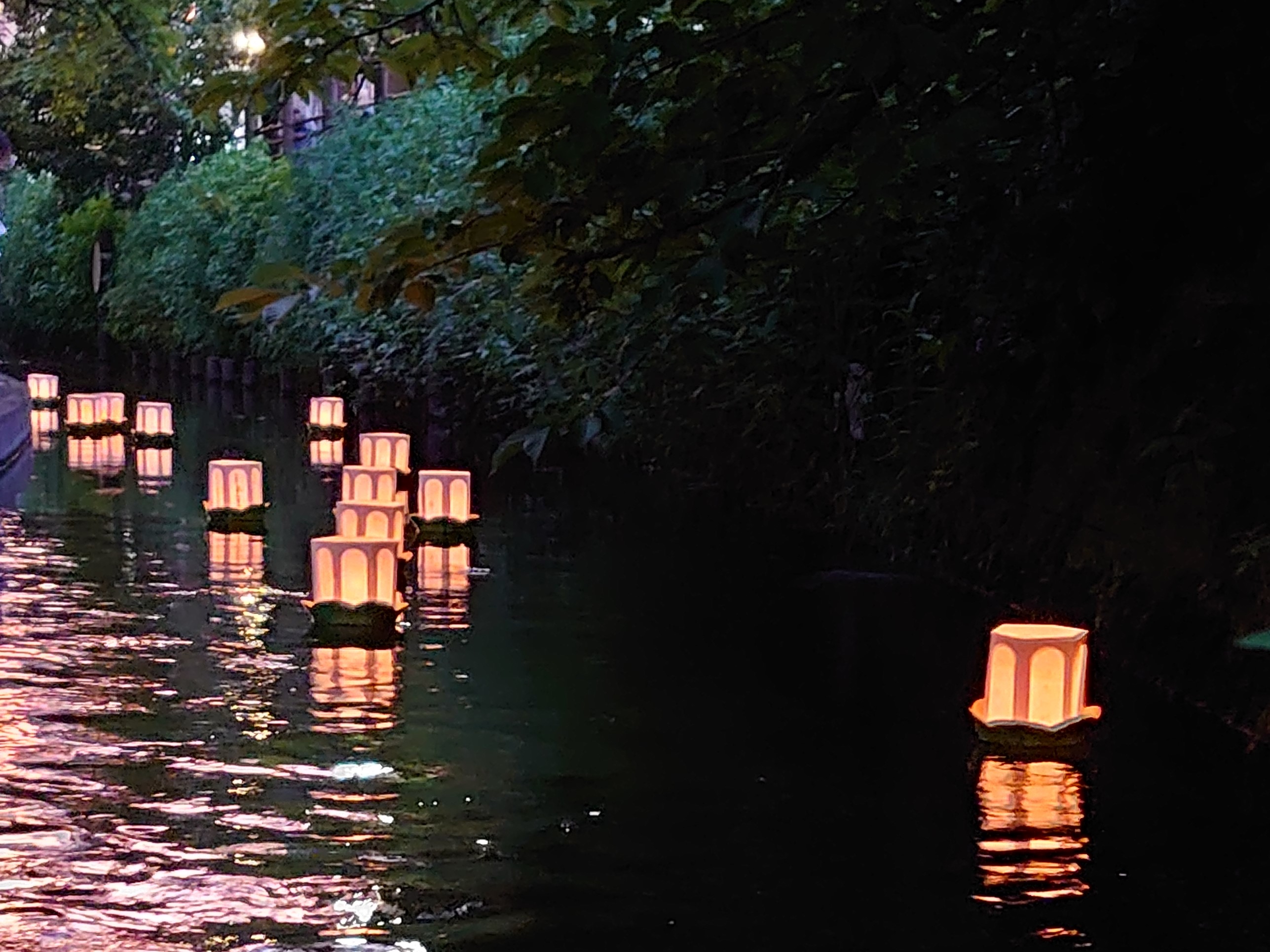 ニヶ領用水で灯篭流し＆清掃活動を行いました！