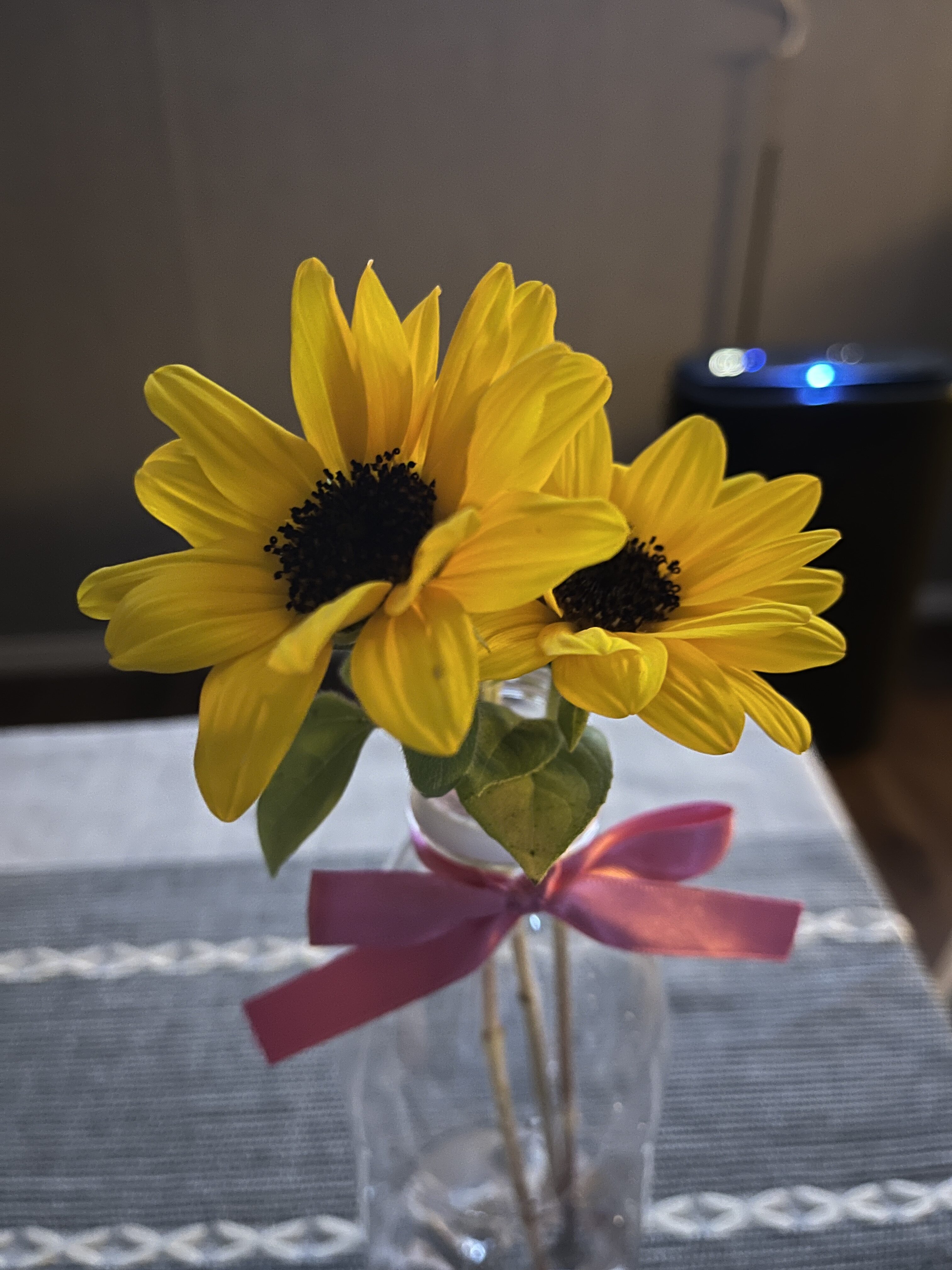 ひまわりinペットボトル