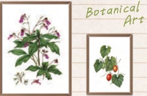 【バックヤード通信】パンフレット編　vol.4　～常設展示Part2～