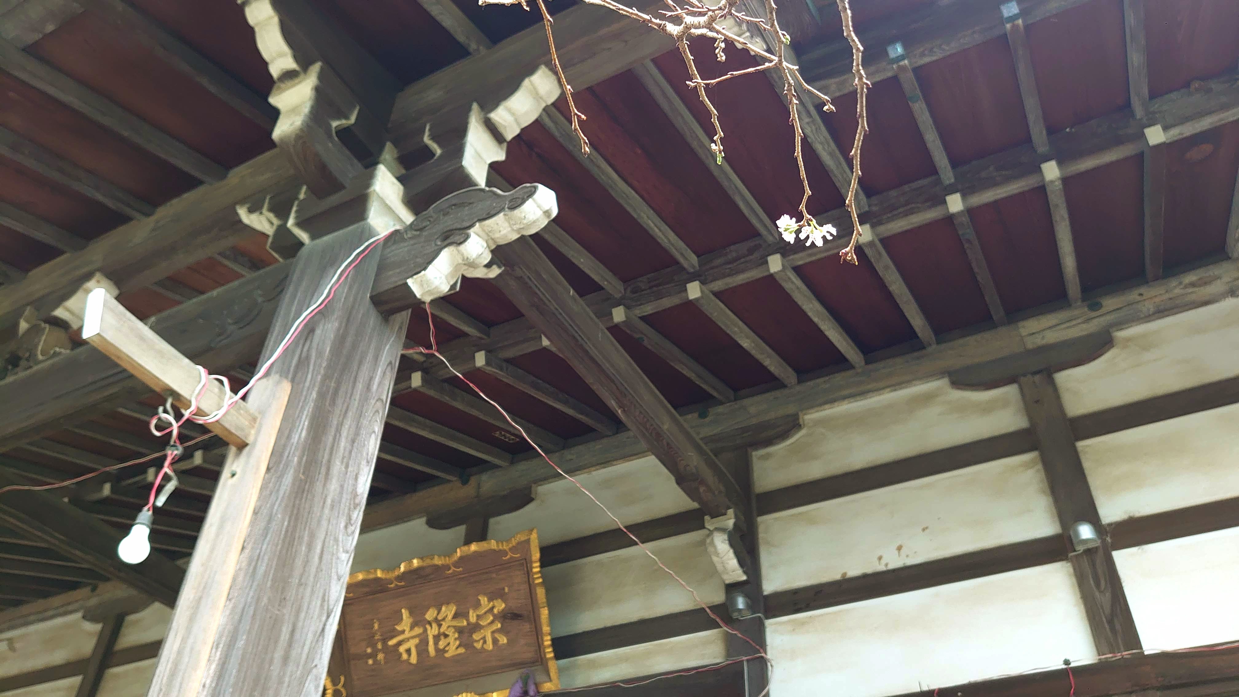 宗隆寺のお会式桜