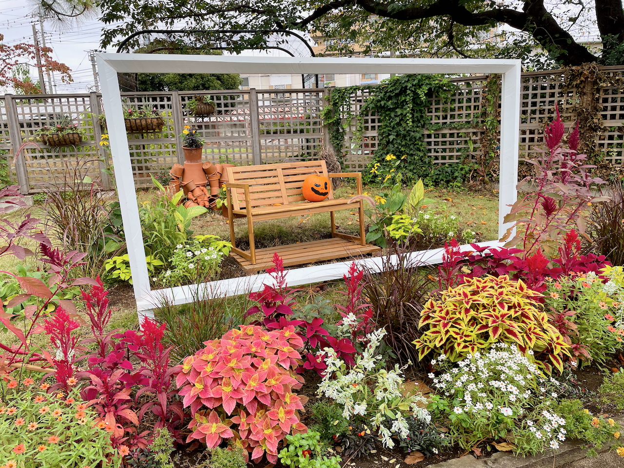 ハロウィン花景色