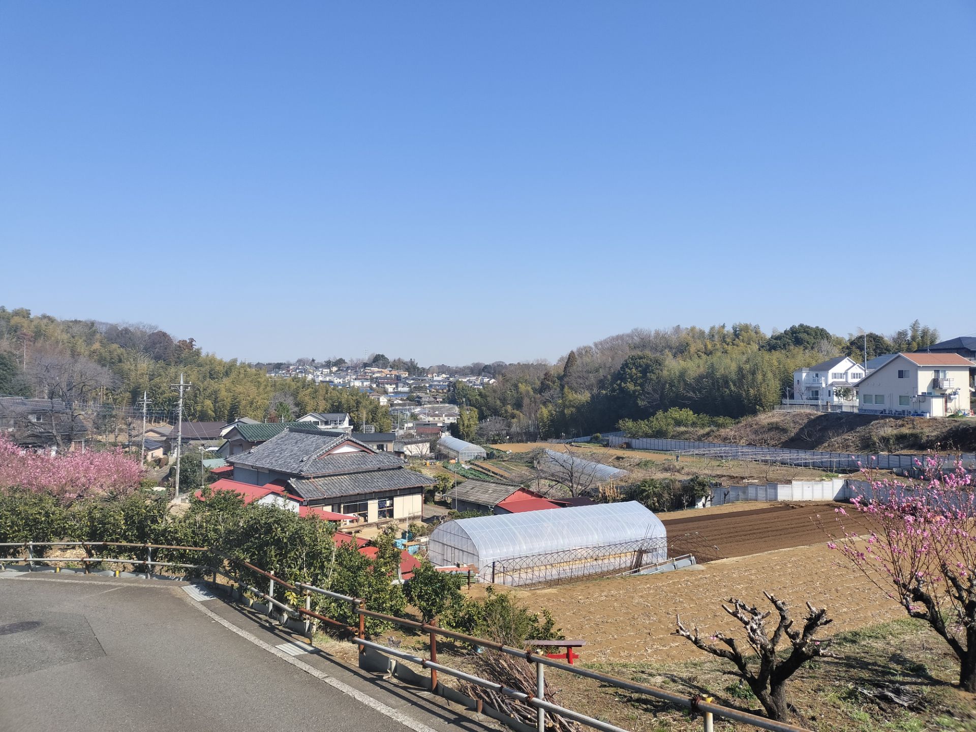 みどりのある風景