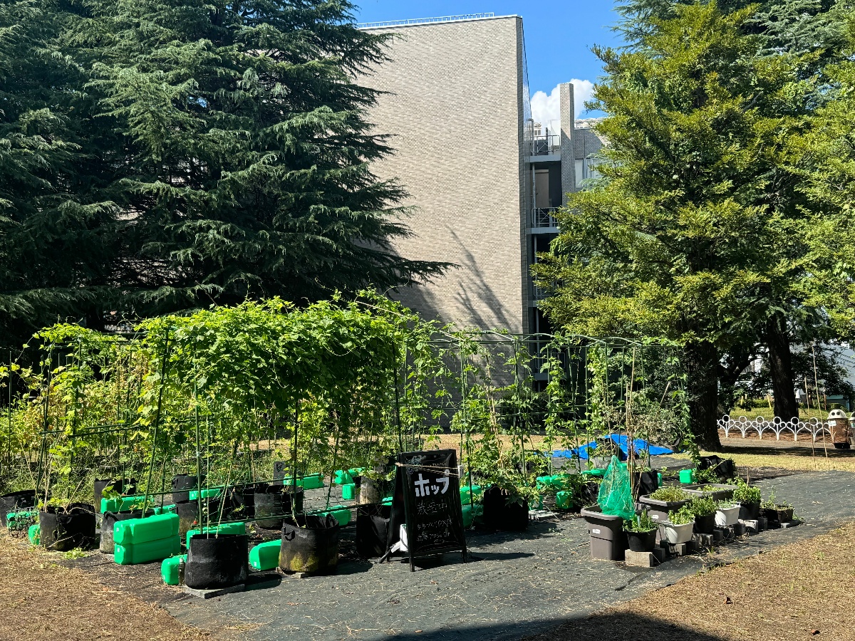 【生田緑地会場：10/24（木）～10/26（土）】専修大学ネットワーク情報学部まちづくりDXラボ