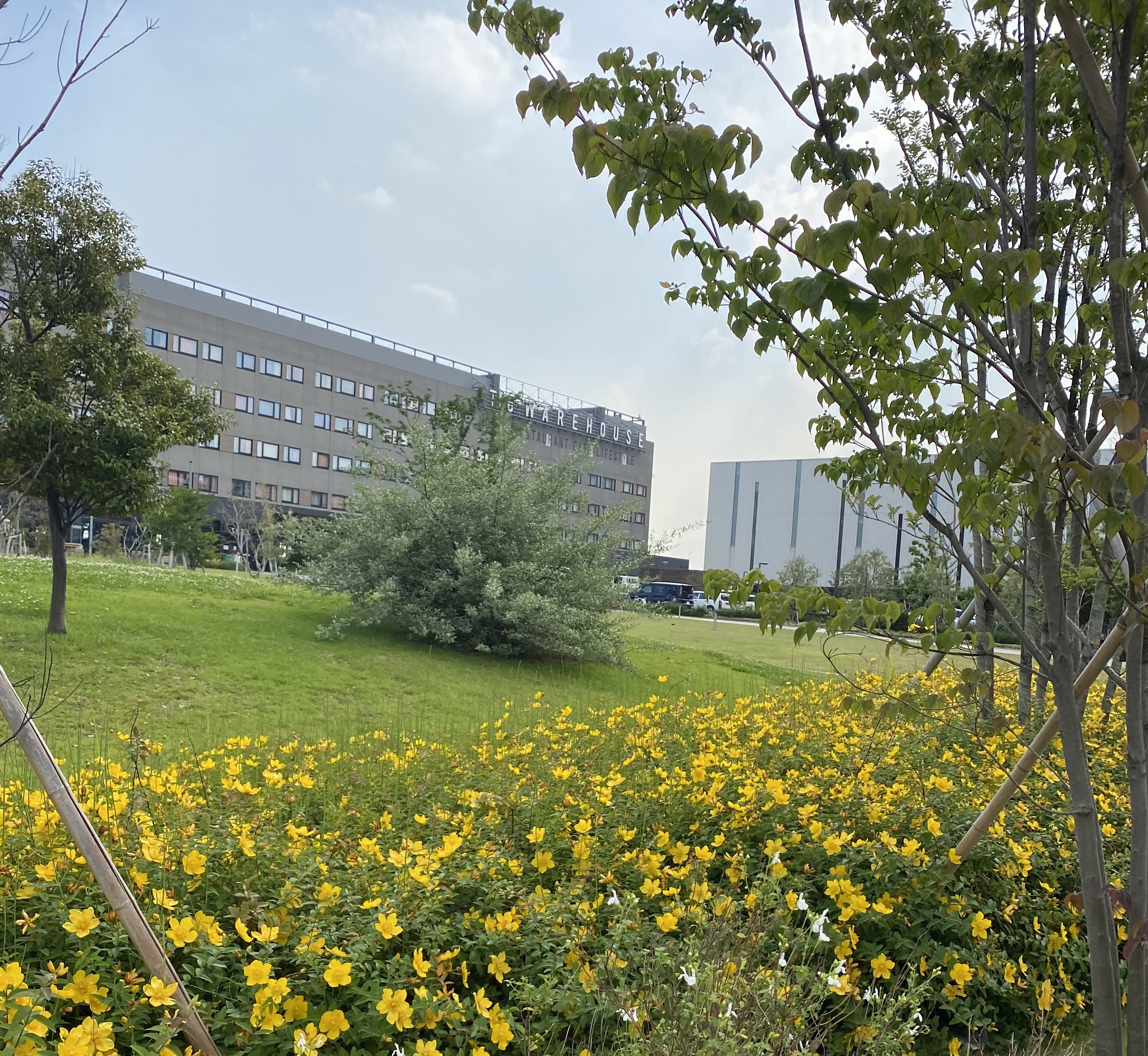 研究者に大切なみどり