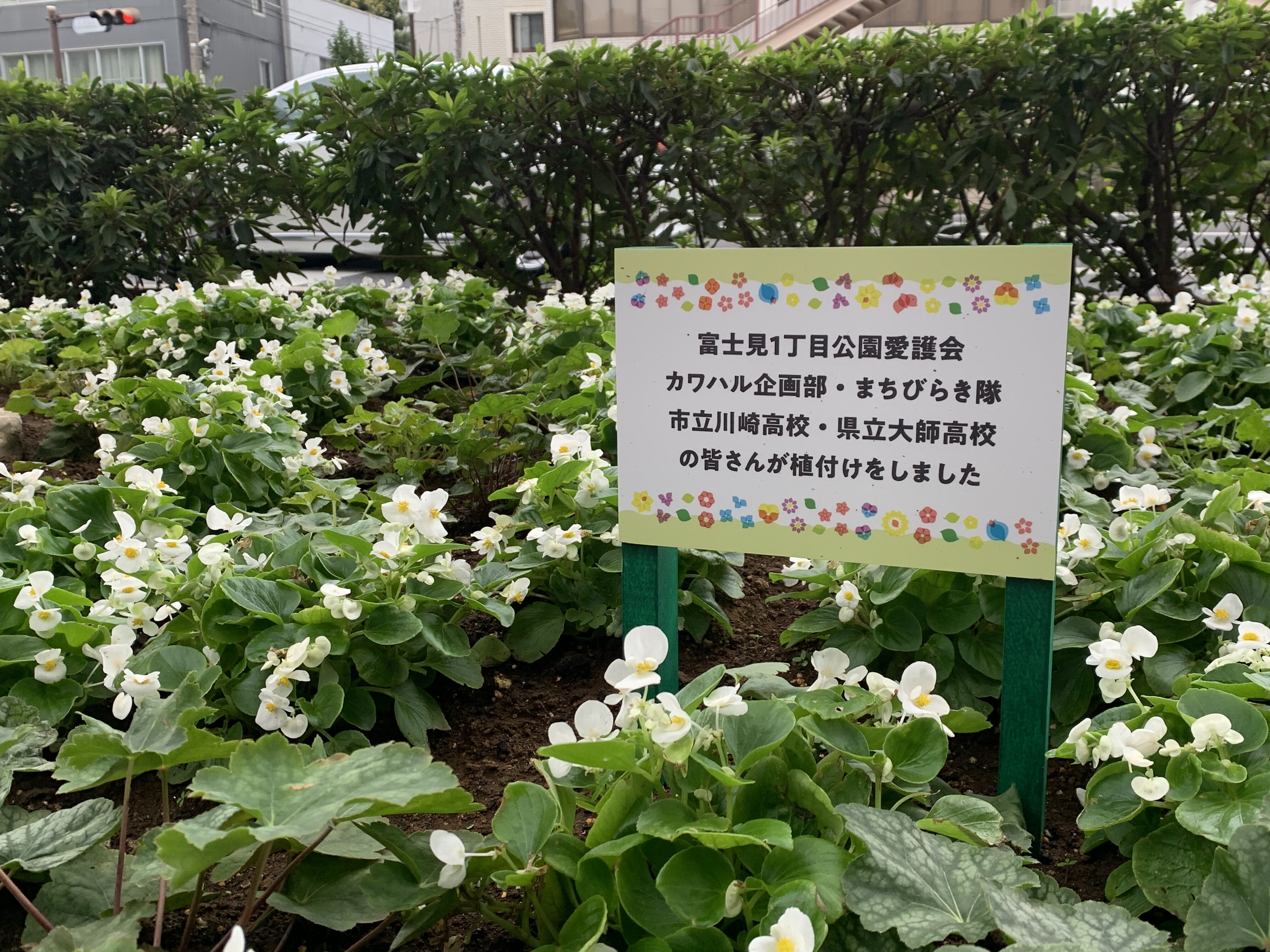 教育文化会館前の花壇