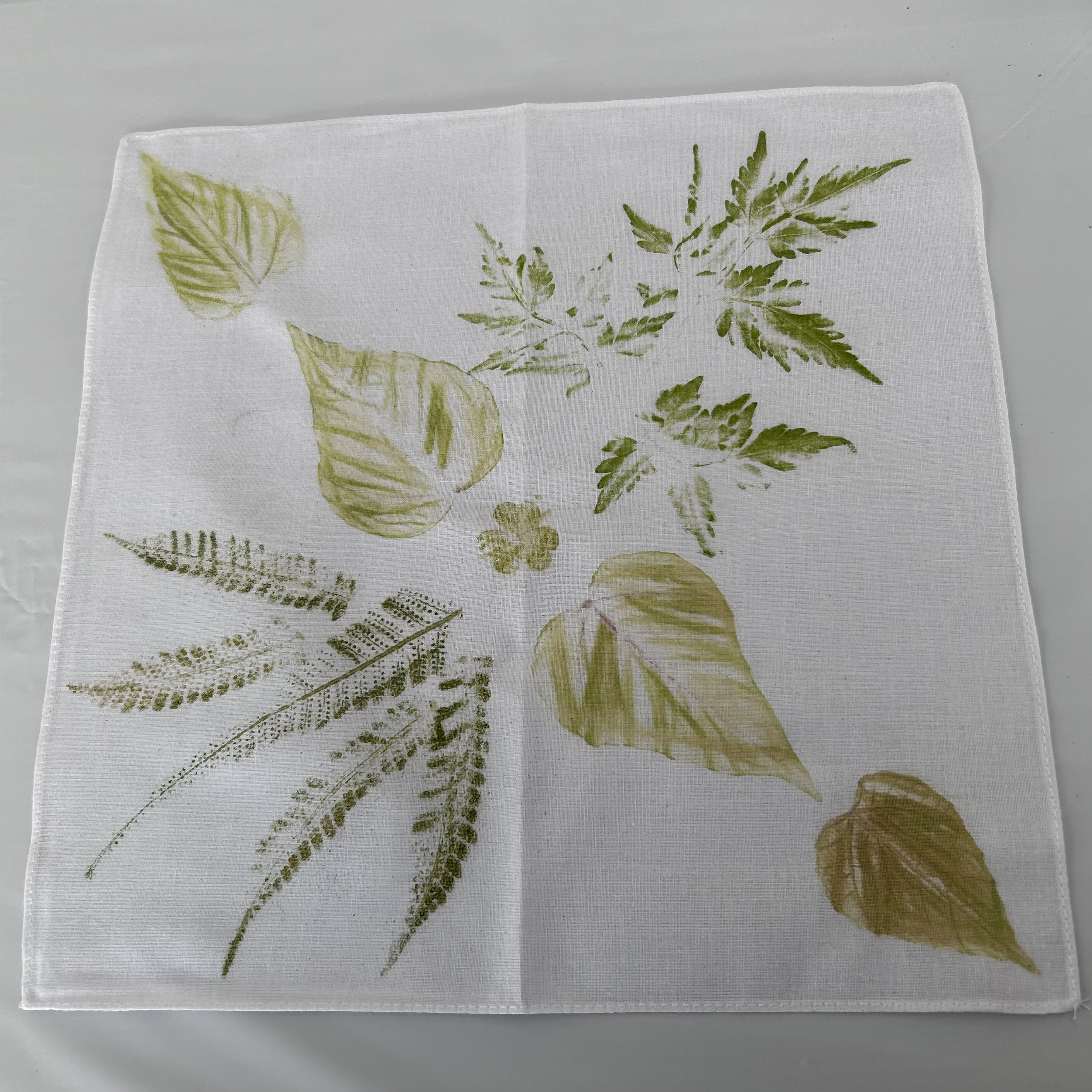 多摩川のみどり