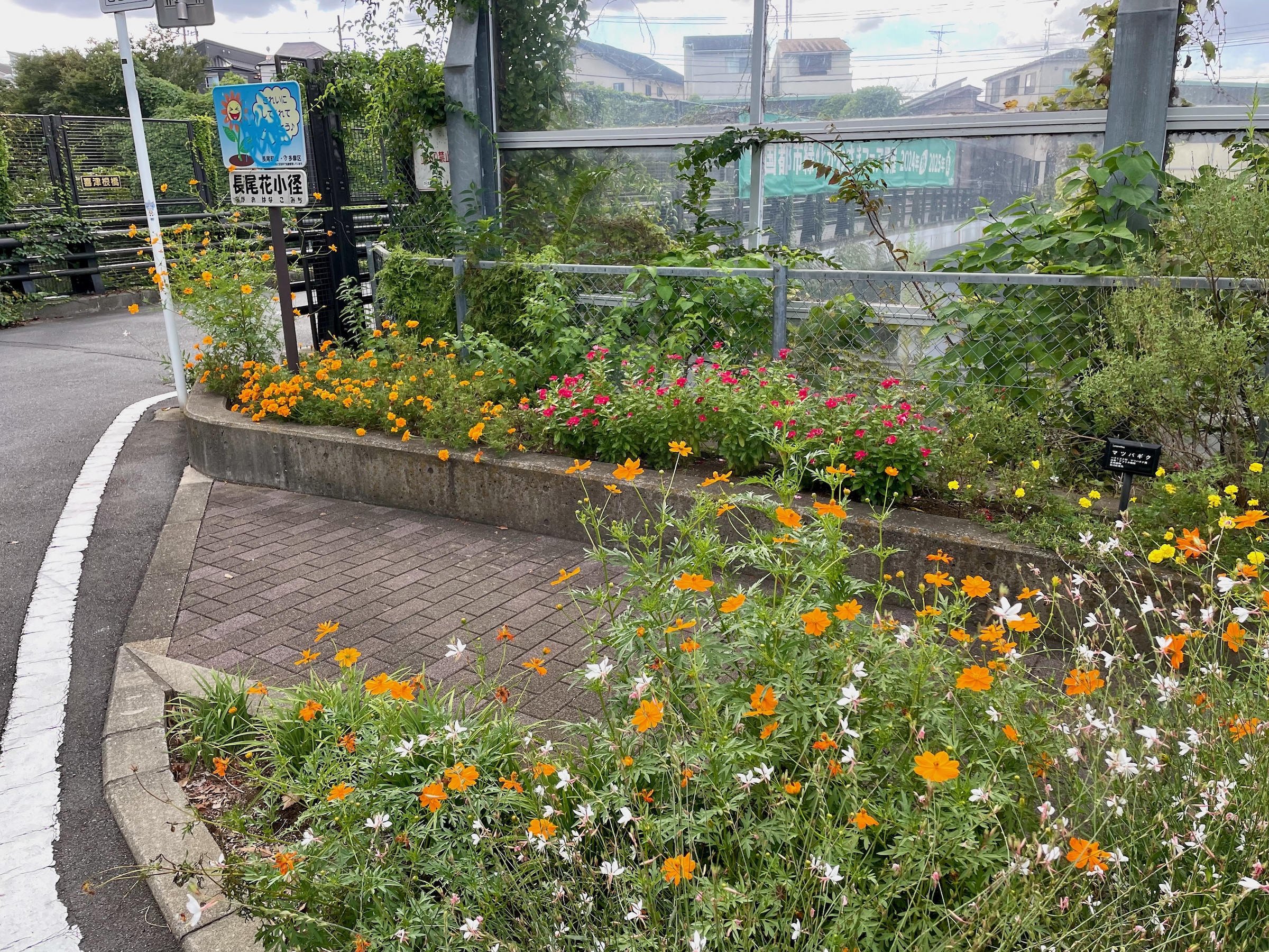 長尾花小径と喜津根橋