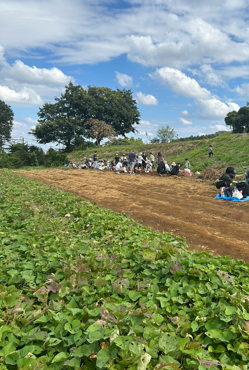 黒川で芋掘り&落花生堀り