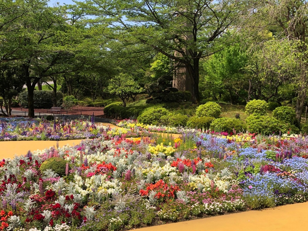 よみうりランドHANA･BIYORI