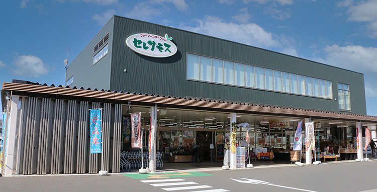 【富士見公園会場：11/2（土）、11/3（日）、11/4（月・祝）】「セレサモス」の出張販売