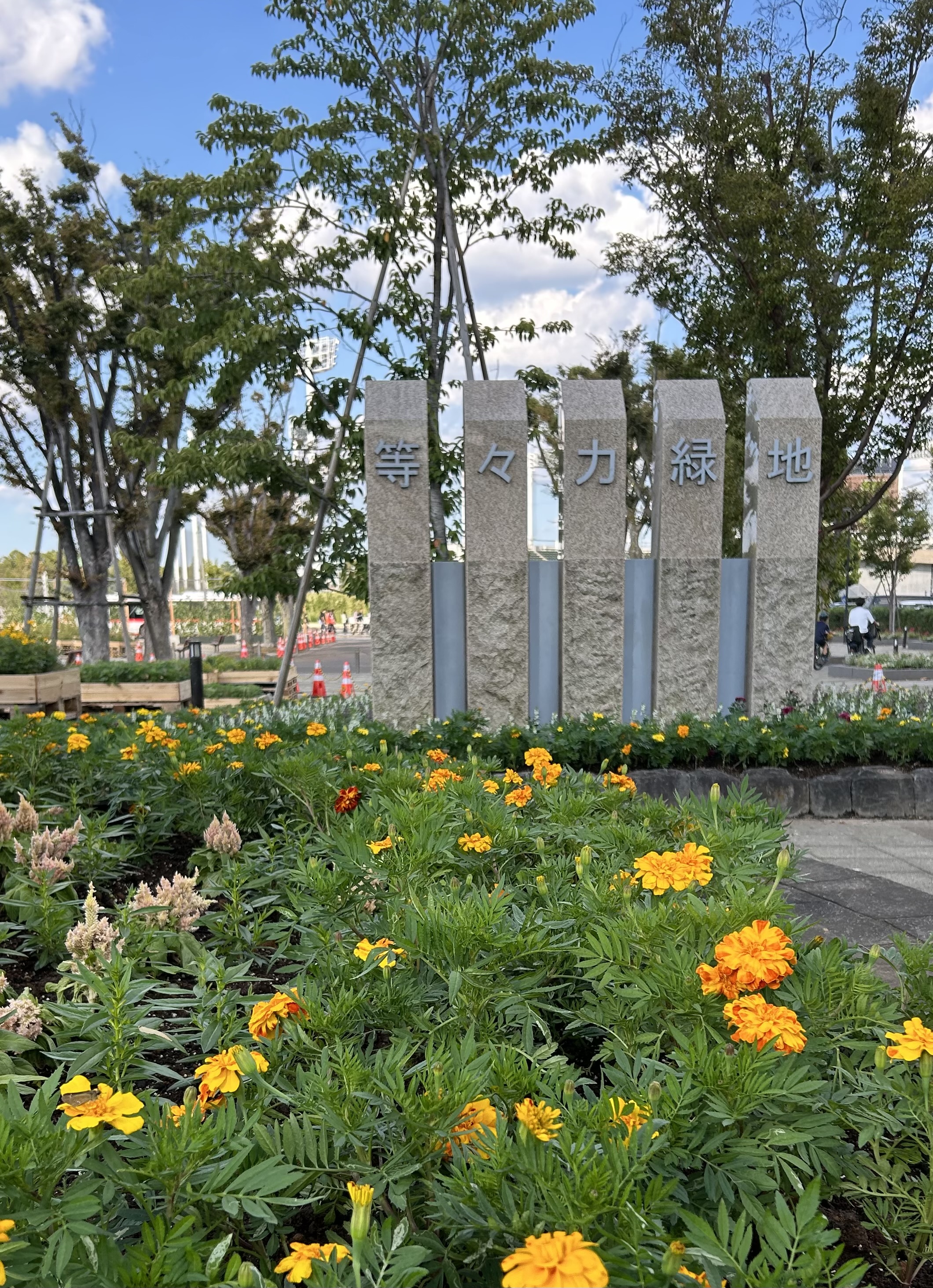 等々力に花がたくさん！