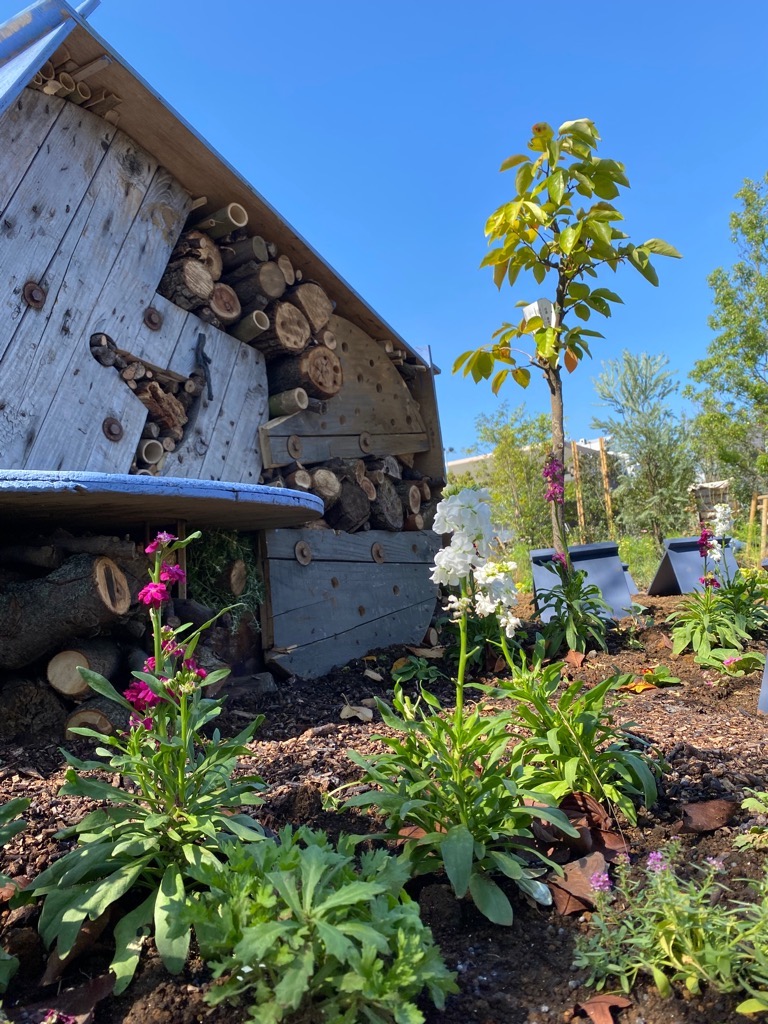 インセクトホテル♪