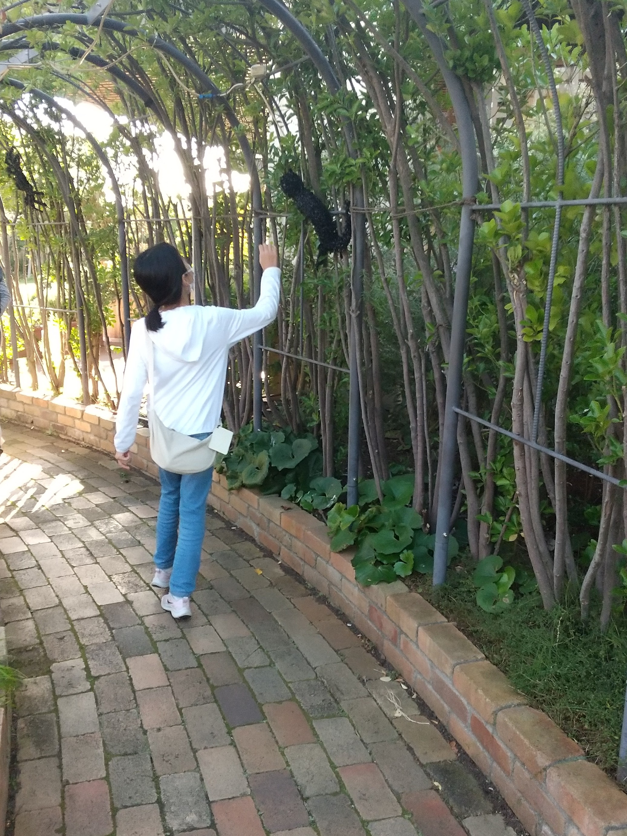 ぐらんぐりんガーデン(グランツリー)