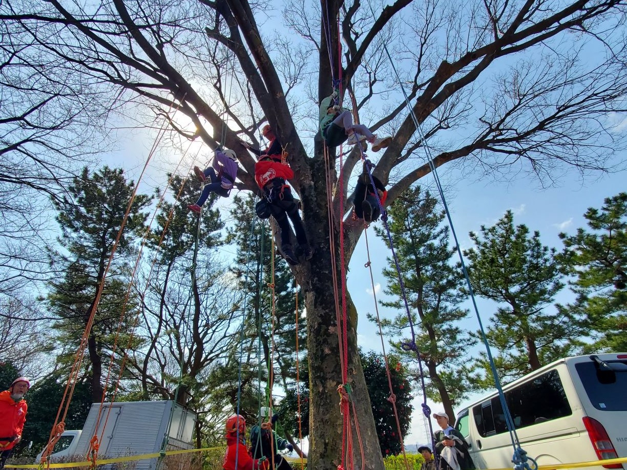 【11月4日】秋の動物園まつりにてツリークライミング体験を実施します！