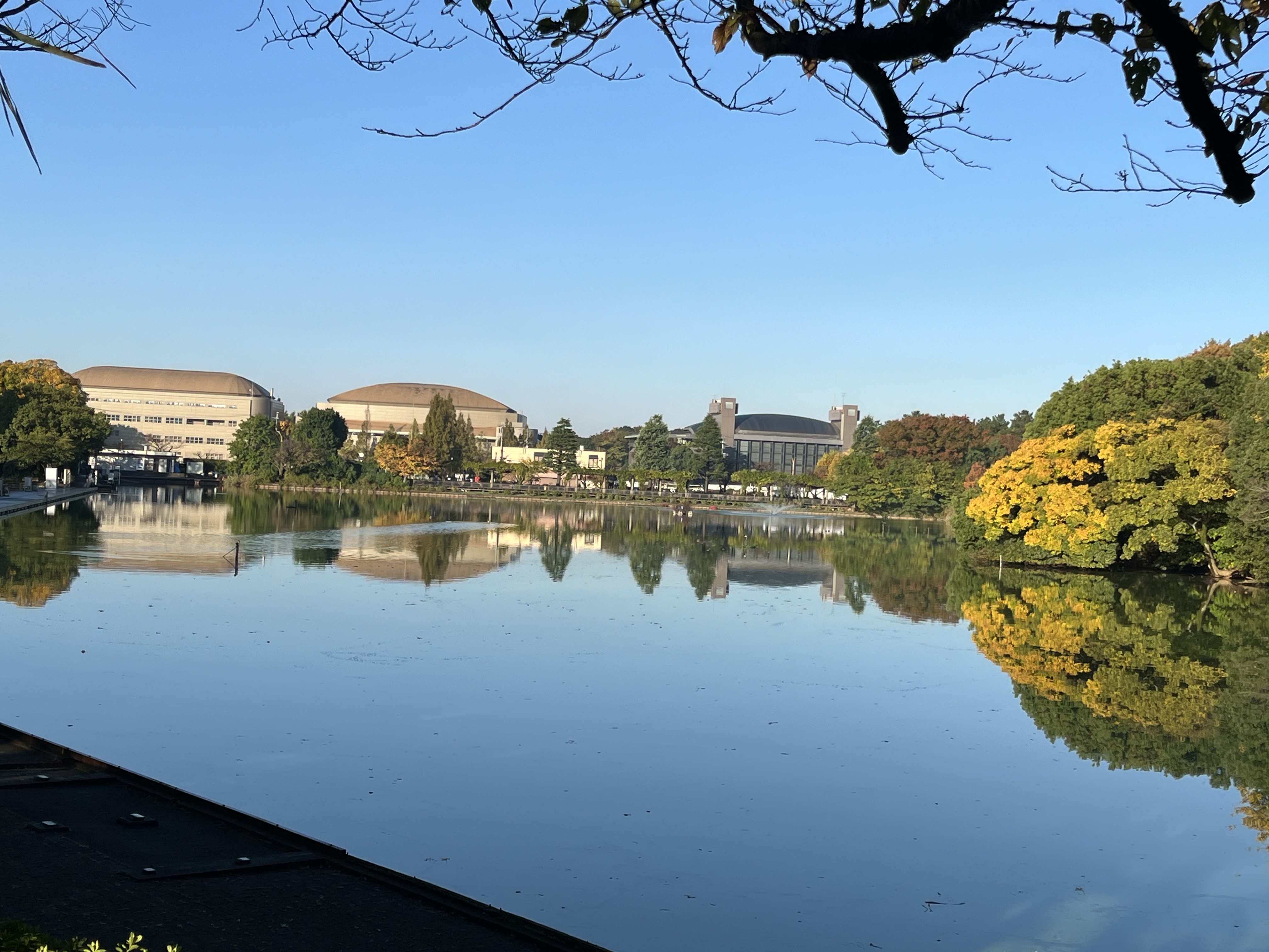 紅葉間近の等々力