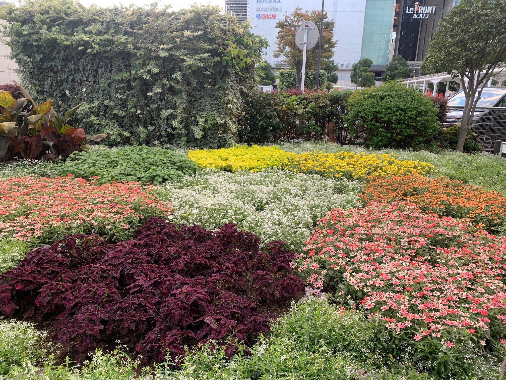 川崎駅前の花壇