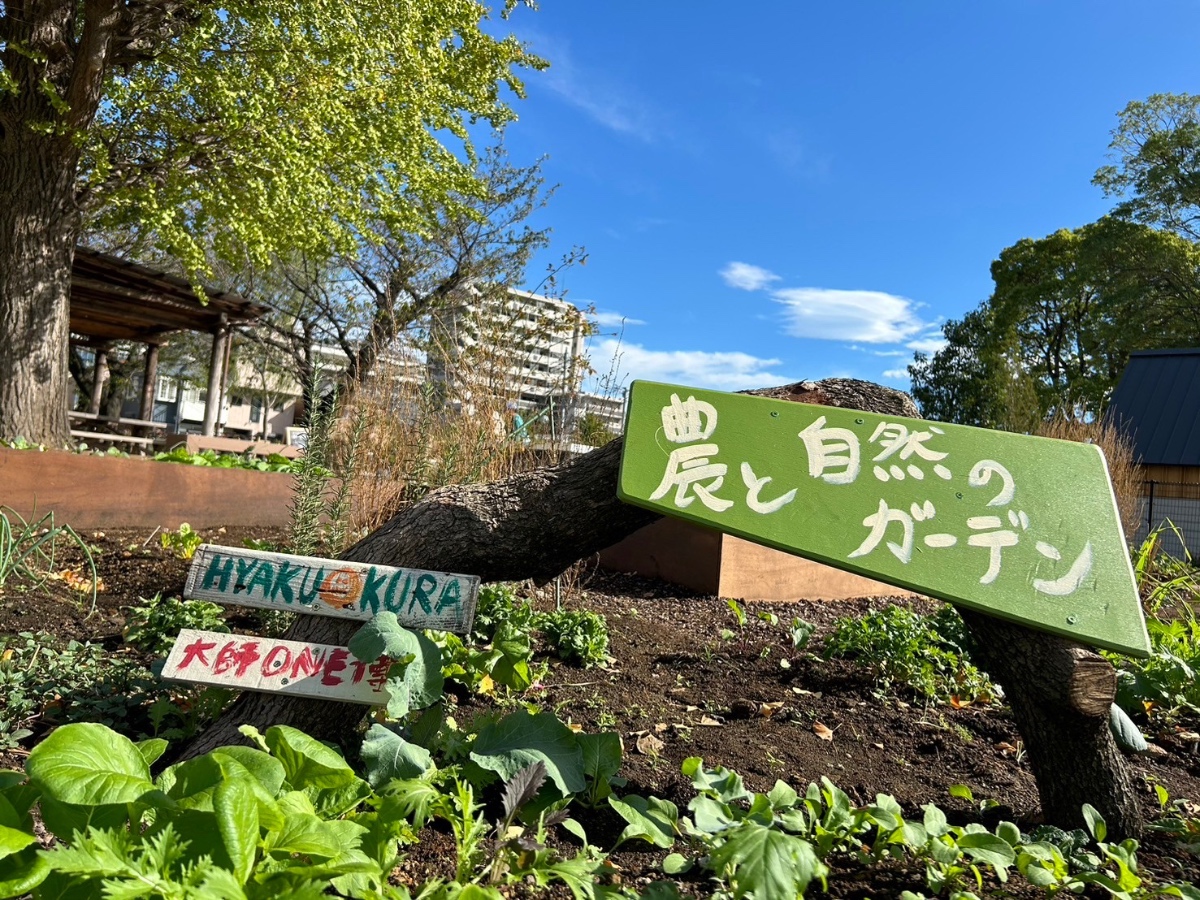 【富士見公園会場：11/7（木）】地堀パンジーの植え付け体験会