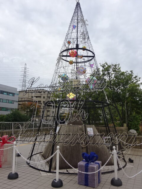 新百合ヶ丘駅南口は、この季節になるとお花とイルミネーションのコラボで彩れます。今年の花壇は100という数字で植え付けされてて綺麗ですね