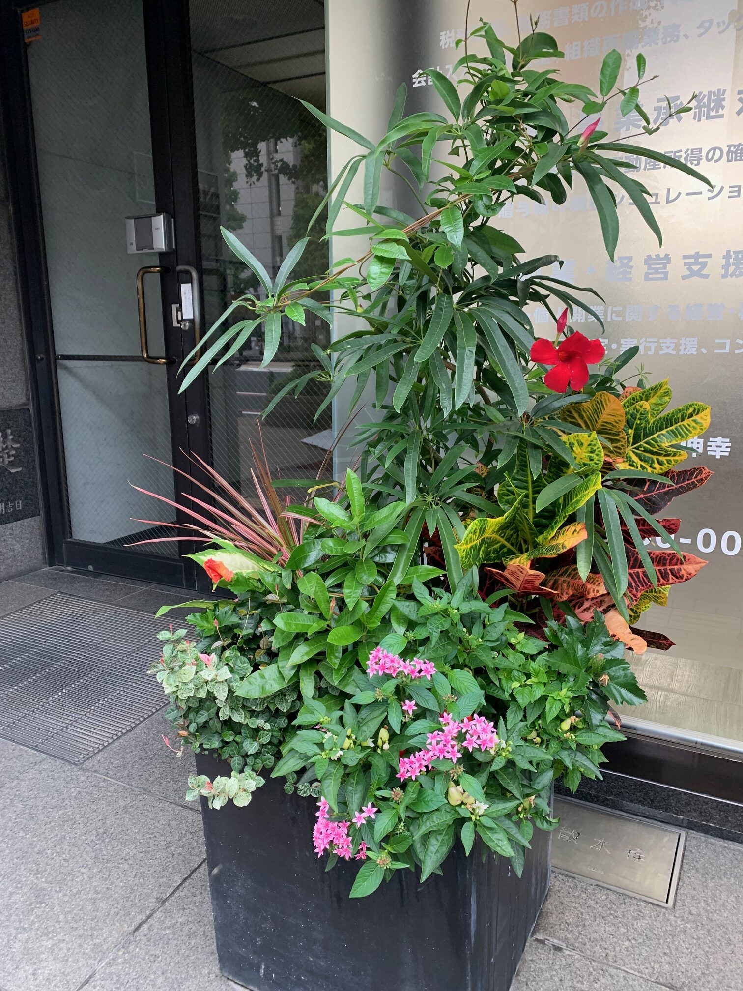 ハローブリッジ近くの事務所前