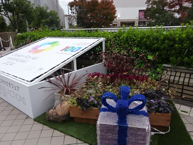 新百合ヶ丘駅南口は、この季節になるとお花とイルミネーションのコラボで彩れます。今年の花壇は100という数字で植え付けされてて綺麗ですね