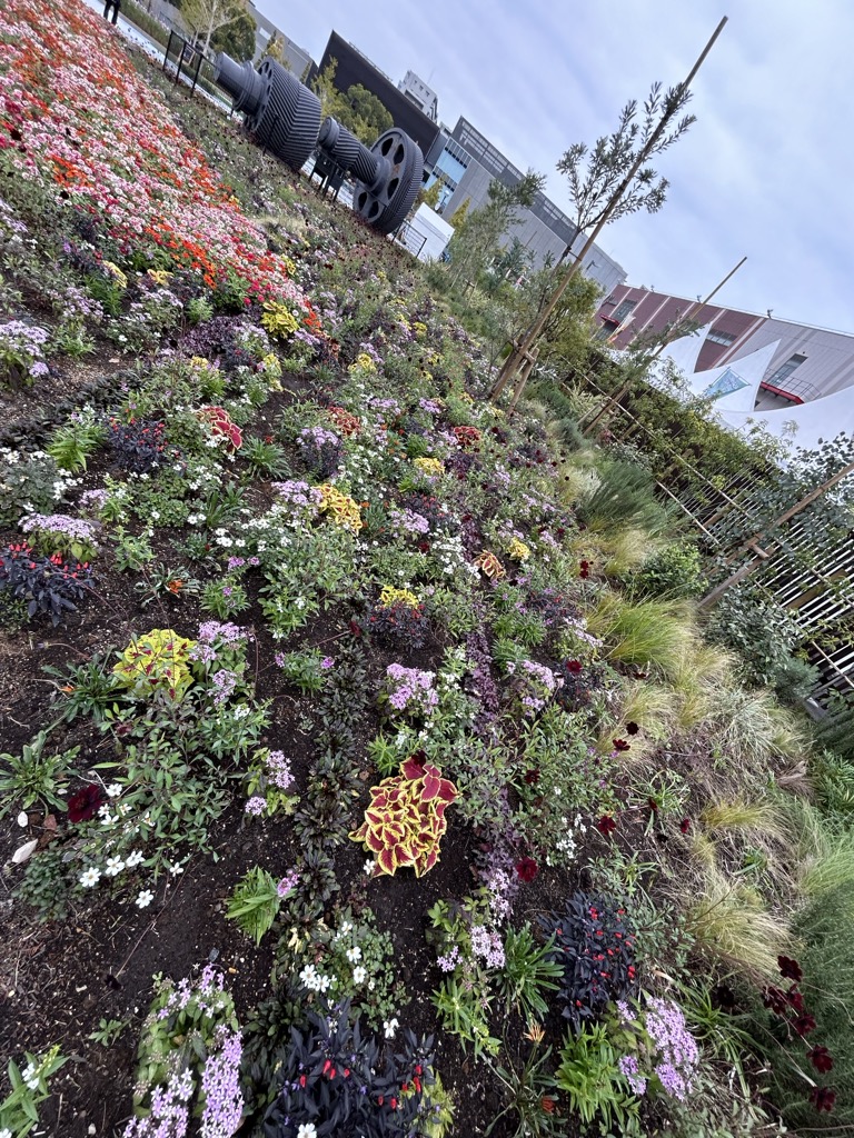 富士見公園　緑化フェア