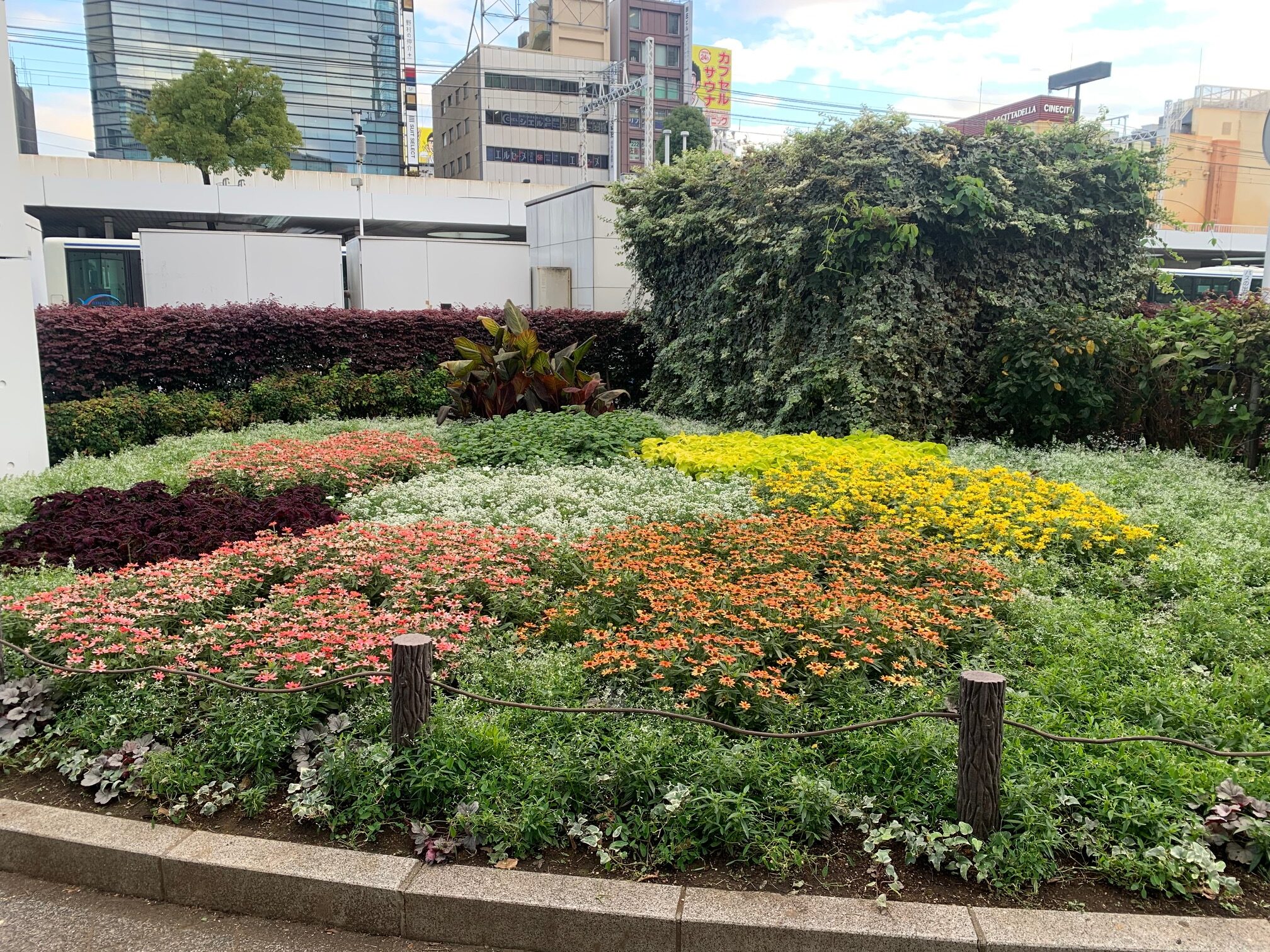川崎駅前の花壇