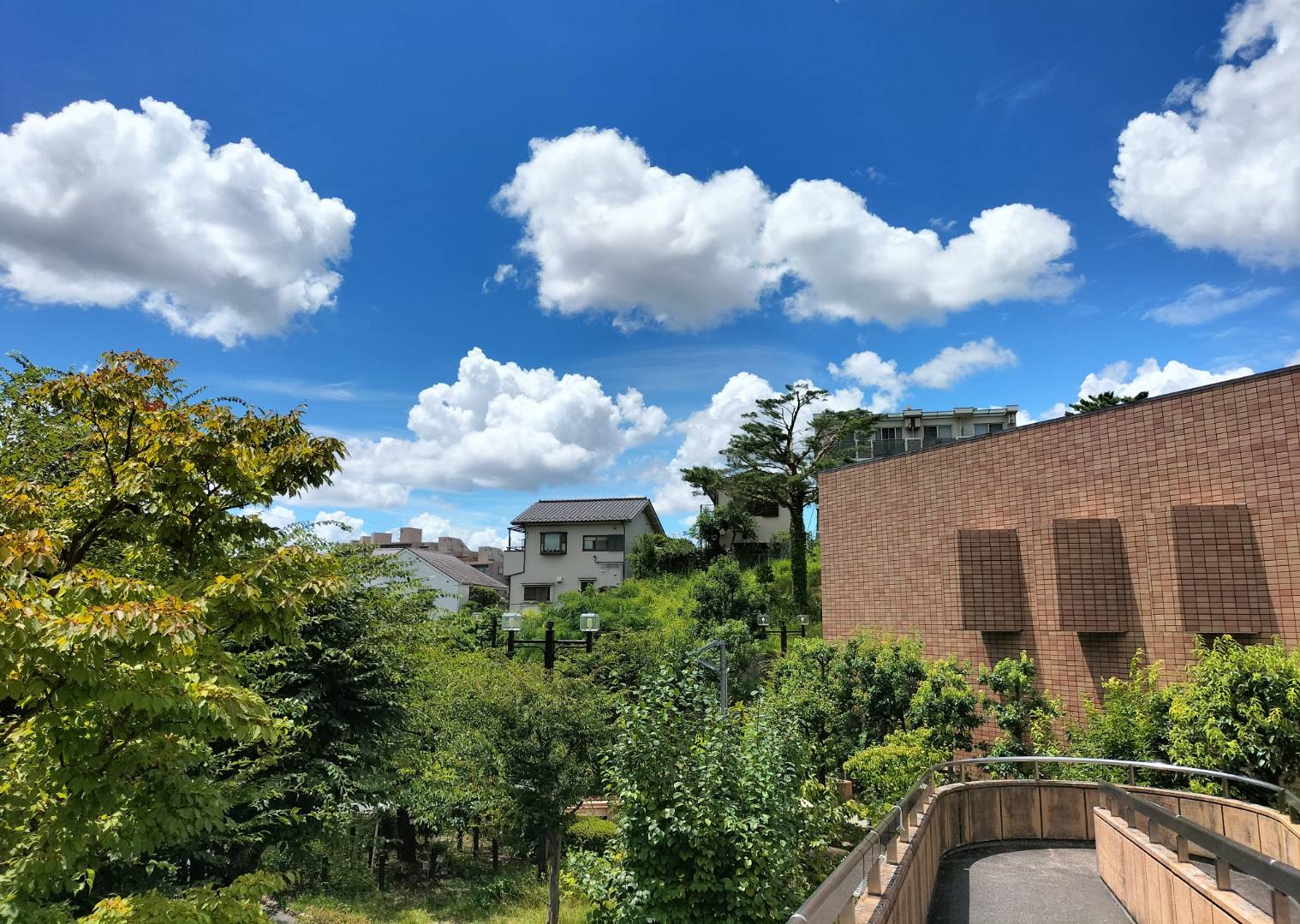 区民ホールの中庭