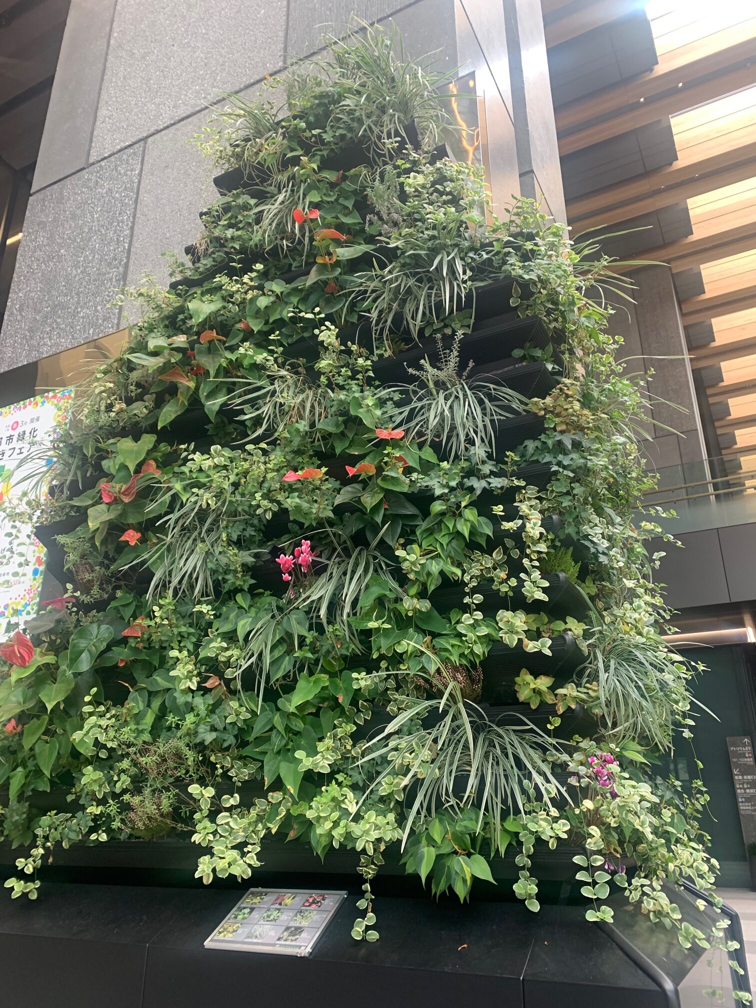 市役所アトリウムの垂直花壇