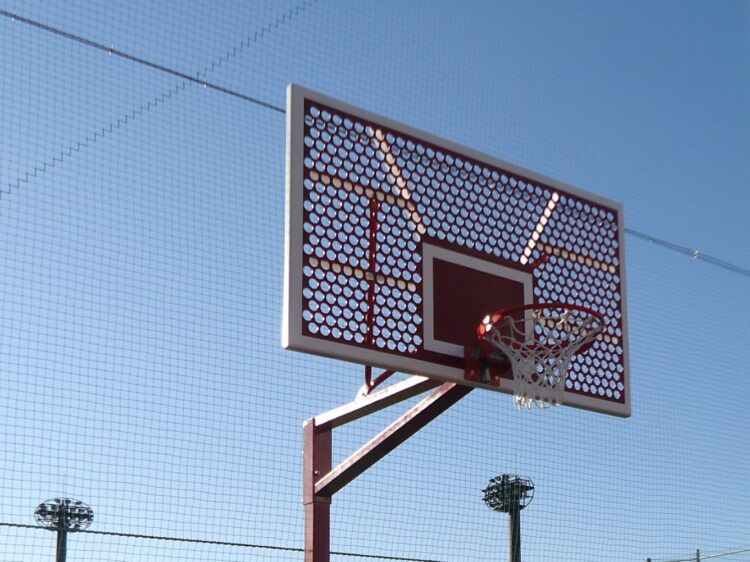 【11月10日】御幸公園・【11月17日】鷺沼公園にてバスケットボールクリニックを開催します！