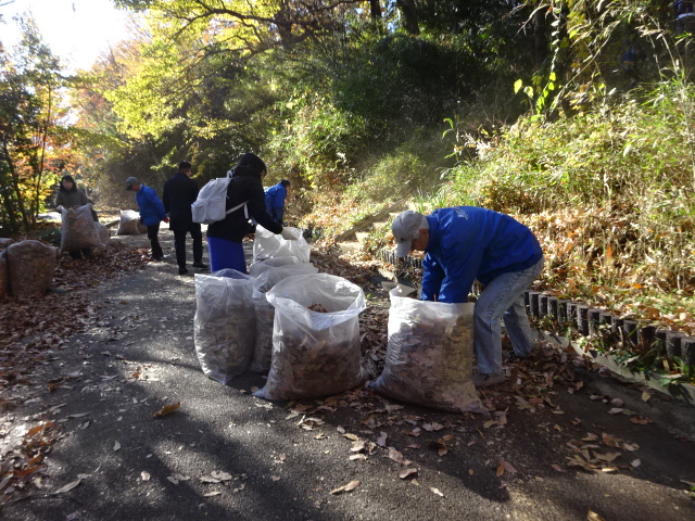 動きだしたら体がポカポカ。(万福寺さとやま公園清掃活動)