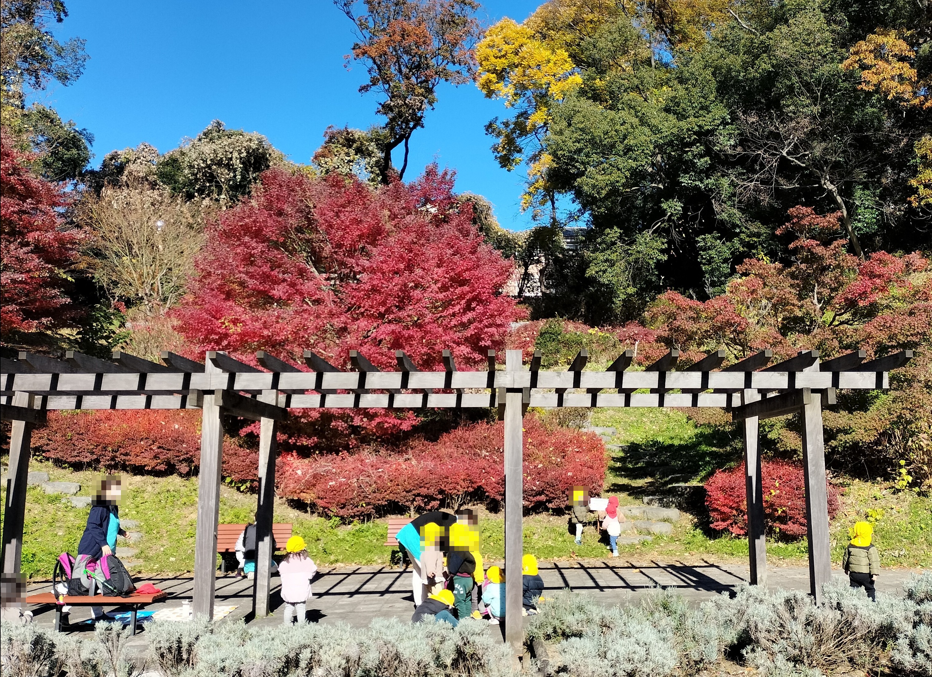 陽だまりの公園
