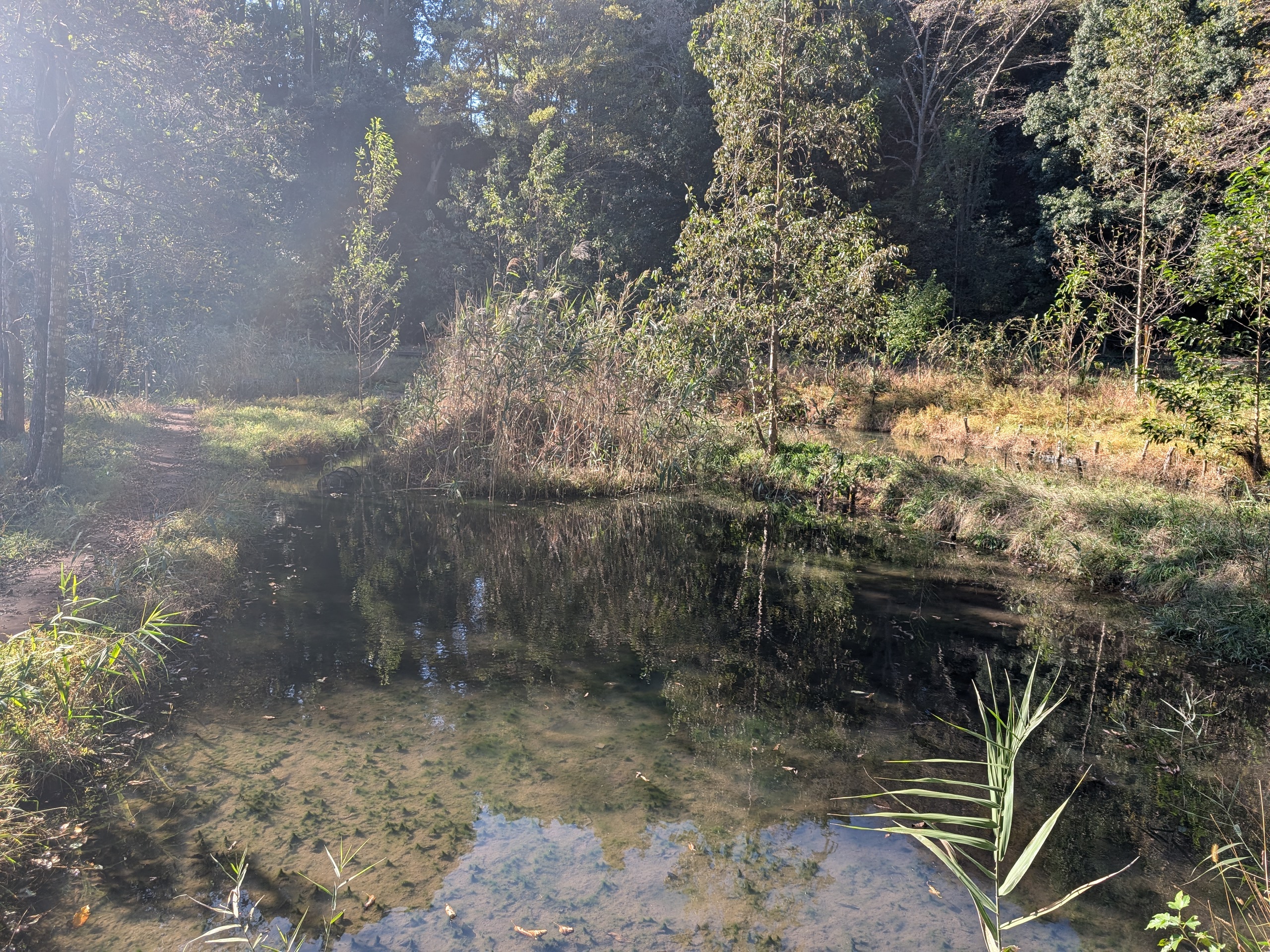 黒川よこみね緑地