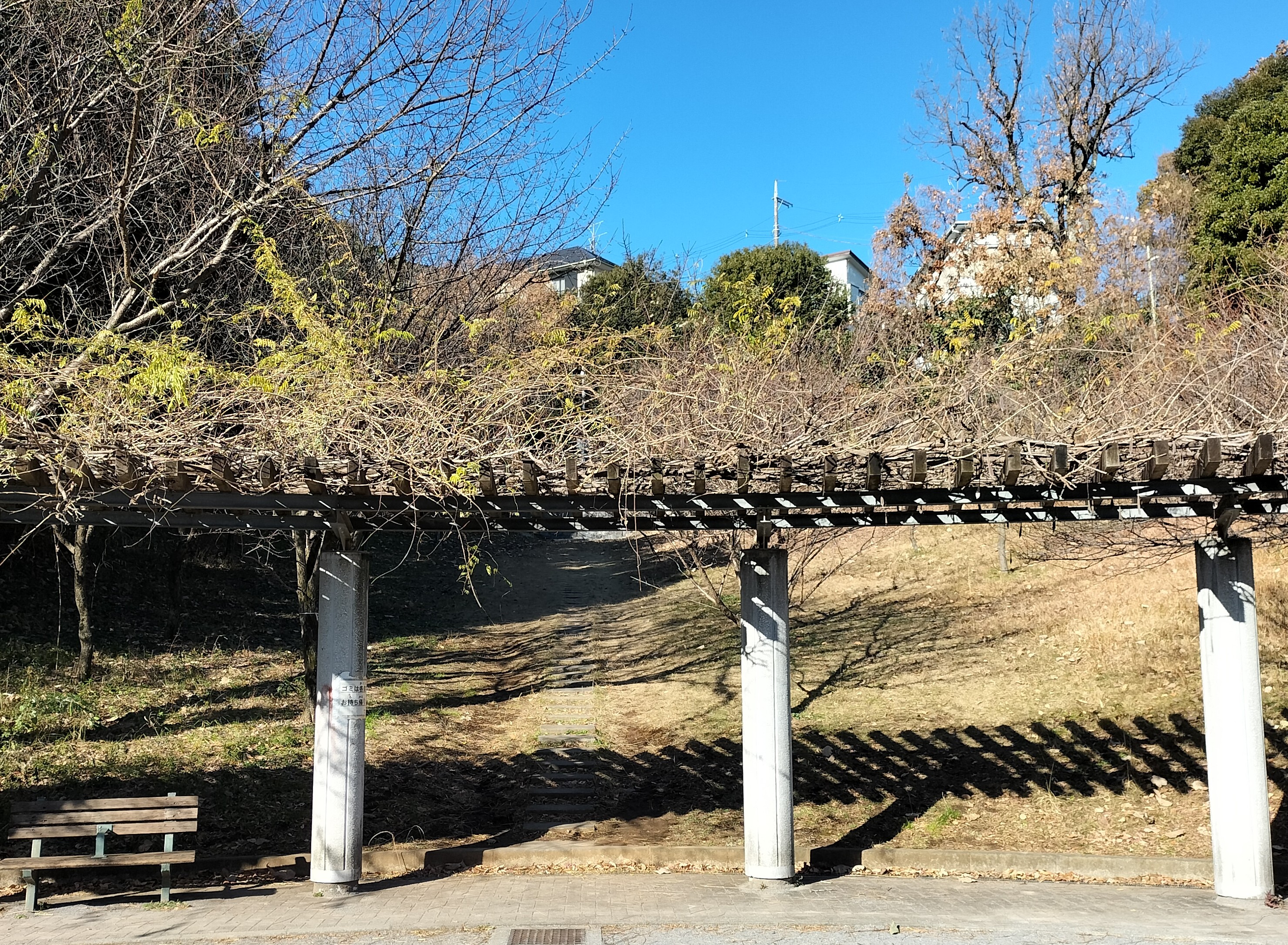 さとやま公園