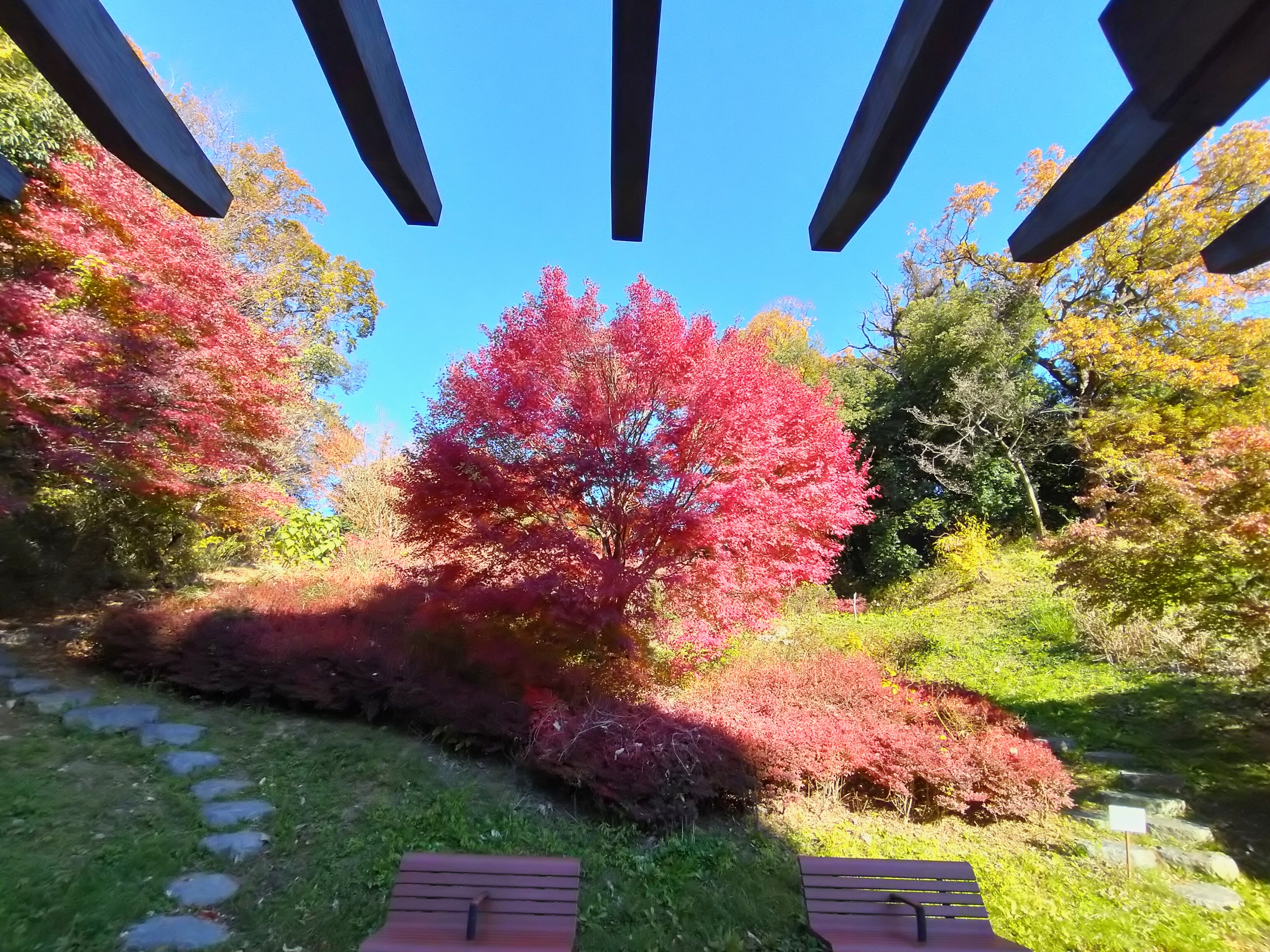 陽だまりの公園