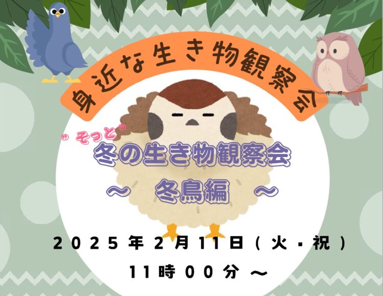 【富士見公園会場：2/11(火)】身近な生き物観察会”そっと”冬の生き物観察会～冬鳥編～