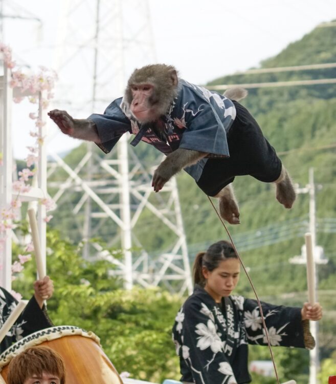 【富士見公園会場：4/12（土）】メインガーデンパフォーマンス