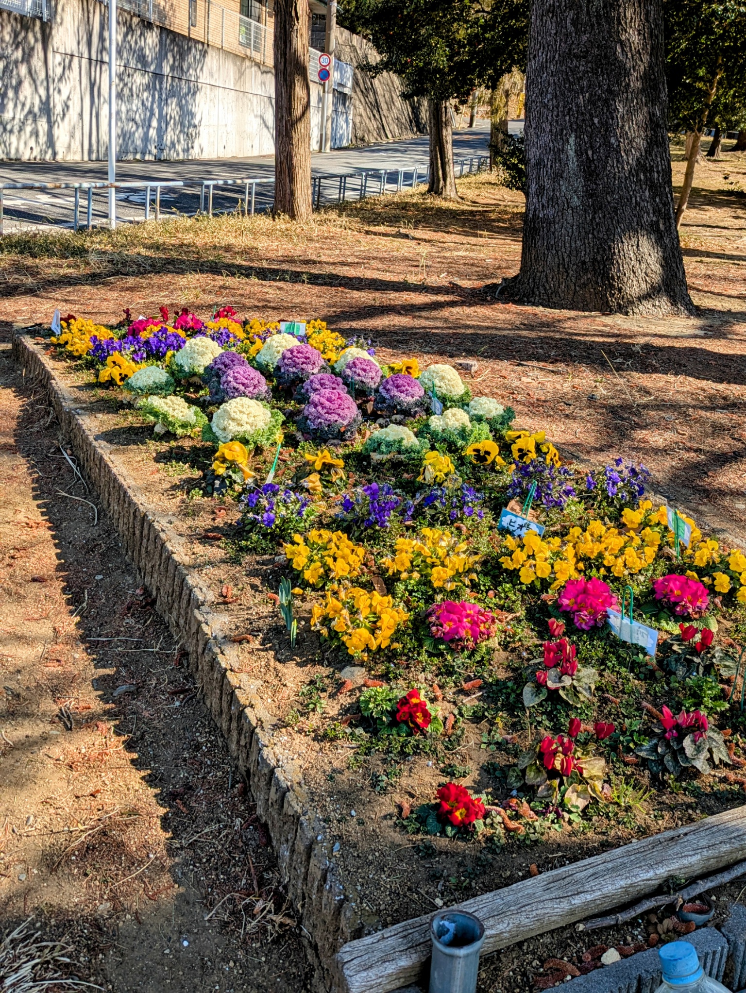 宮前区土橋7丁目公園