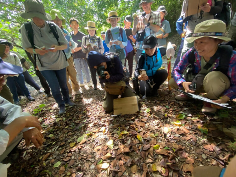 【生田緑地会場：4/12(土)、4/13(日)⇒4/13（日）中止】樹木医ガイドツアー　（一般社団法人日本樹木医会　神奈川県支部）