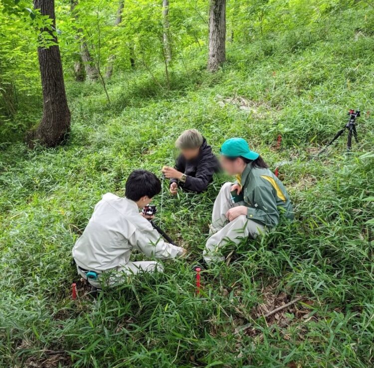 【生田緑地会場：3/29(土)、3/30(日)】東京農業大学造園科学科　造園植物・樹芸学研究室　緑化植栽学研究室