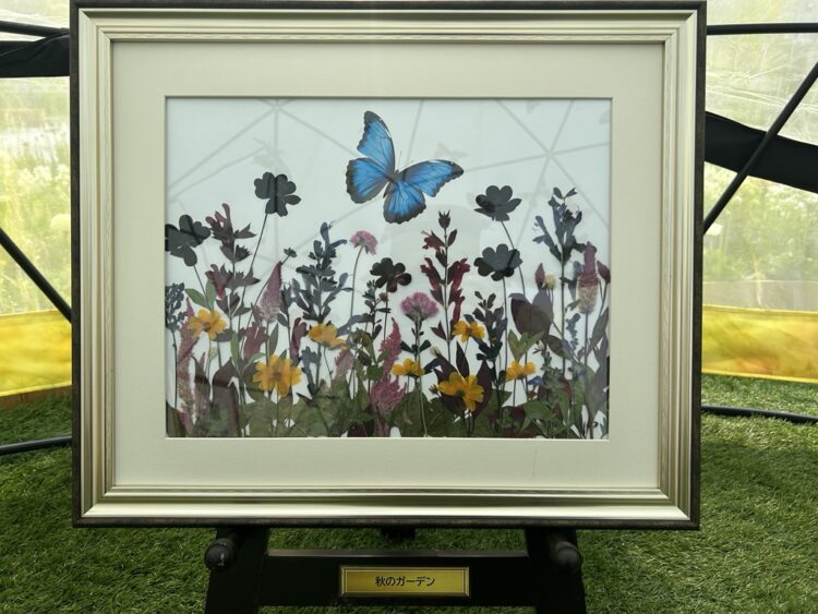 【富士見公園会場】杉野宣雄と世界の押し花展＆押し花で遊ぼうワークショップ