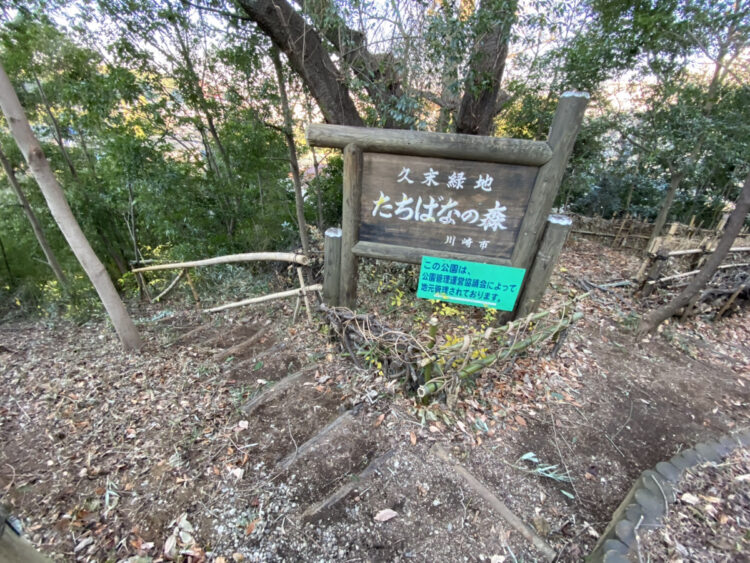 【生田緑地会場：3/29(土)】久末緑地「まゆみの会」