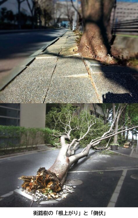 【等々力緑地会場：3/27(木)、3/28(金)】前田道路株式会社