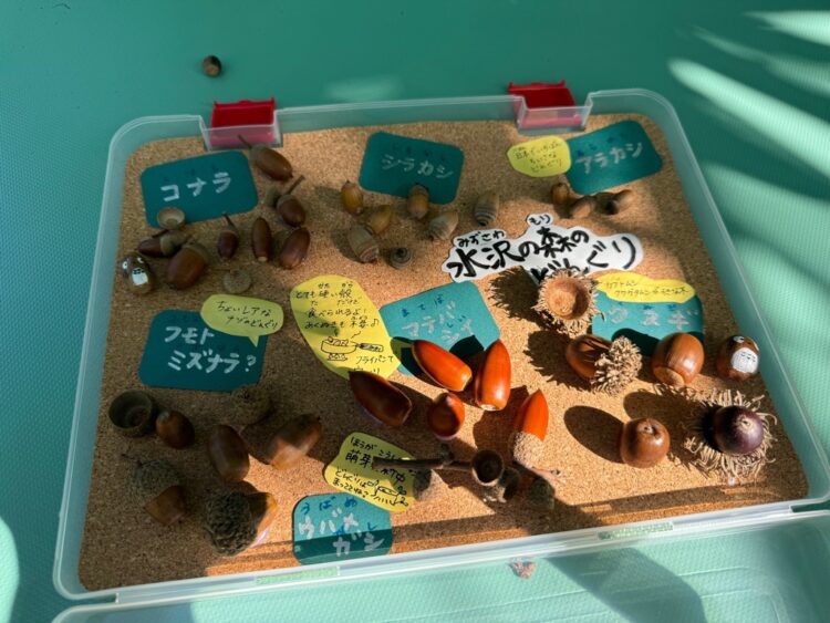 【生田緑地会場：3/30(日)】水沢森人の会