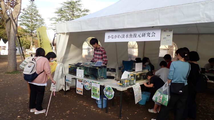 【生田緑地会場：3/23（日）】かながわ淡水魚復元研究会